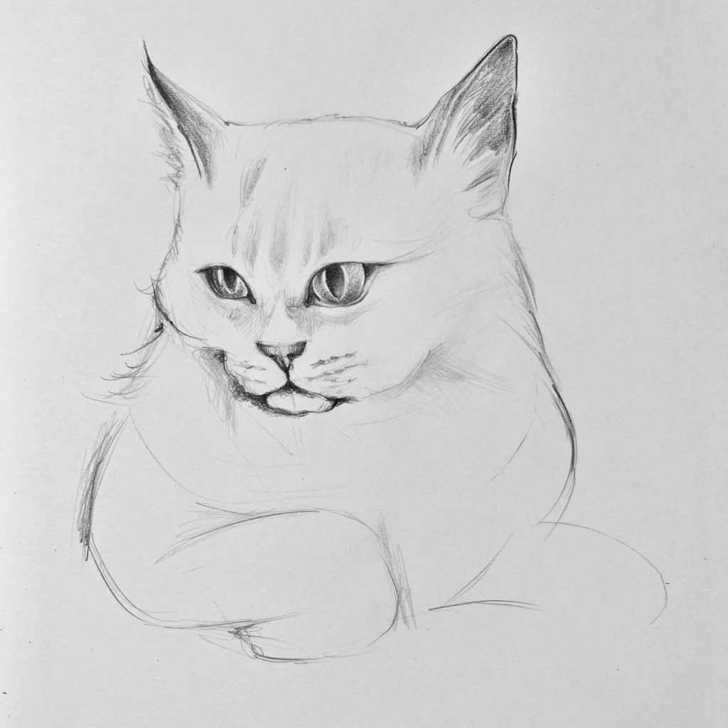 Как нарисовать кота | Блог «Онлайн-Школа»