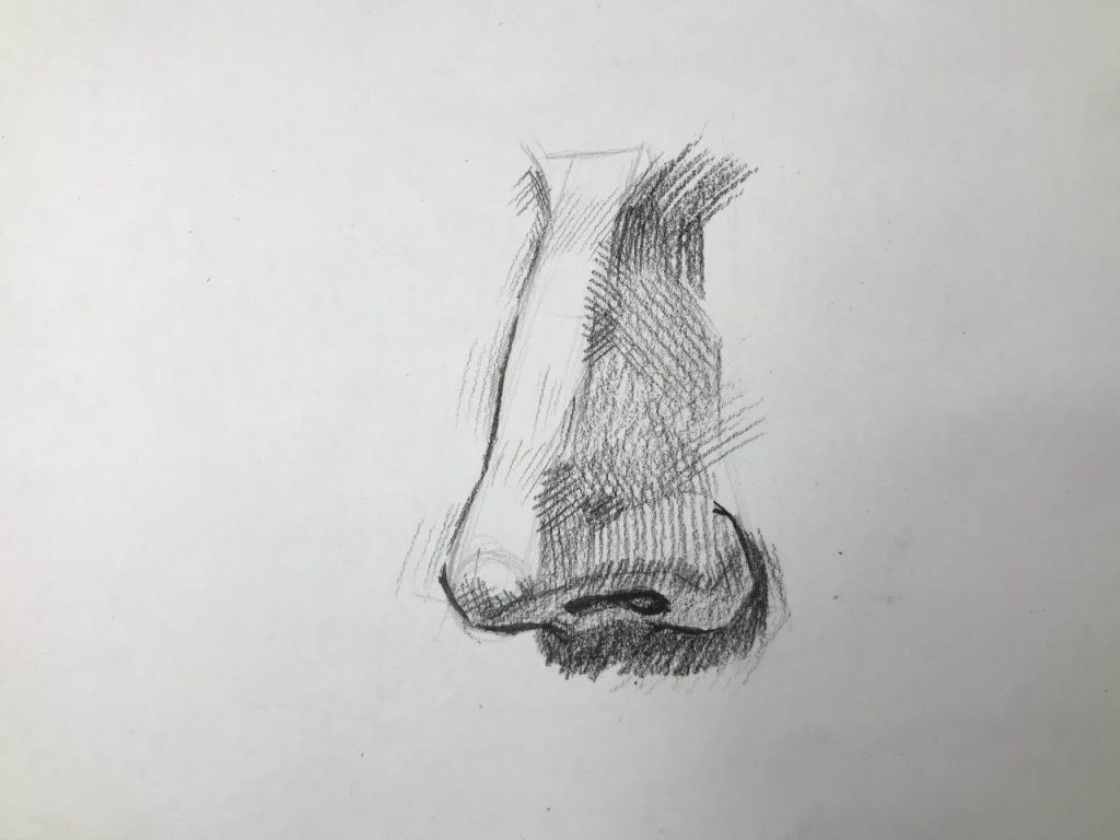 Как нарисовать нос