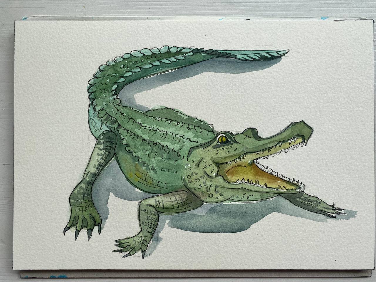 Рисование крокодил необычно