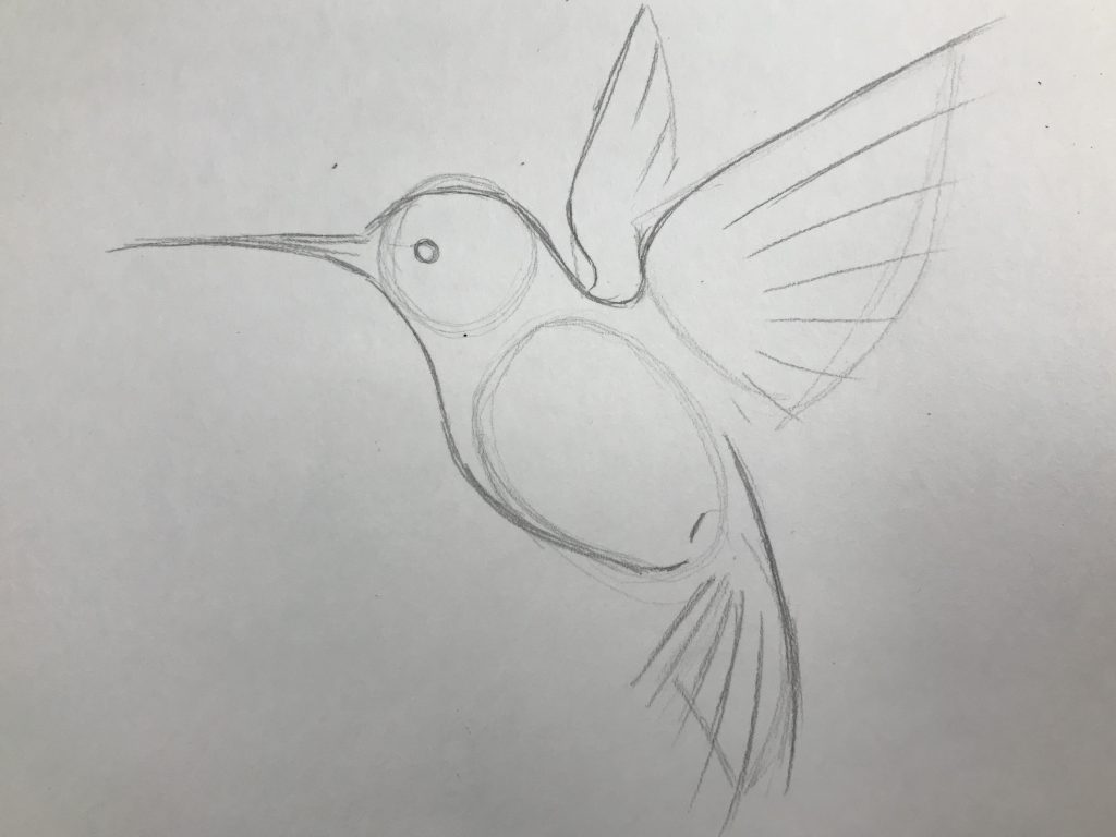 Как нарисовать птицу
