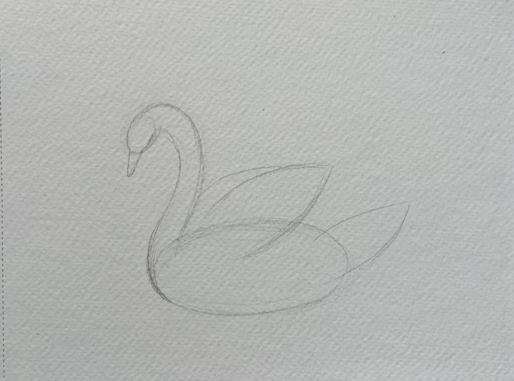 Как нарисовать лебедя поэтапно карандашом