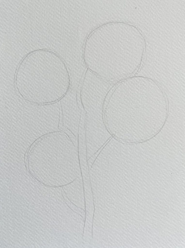 Как нарисовать растение