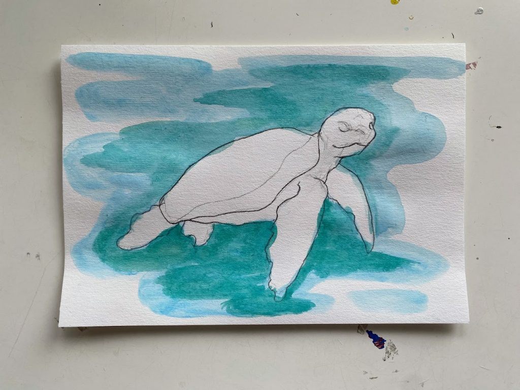 Как нарисовать черепаху